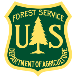foresty service